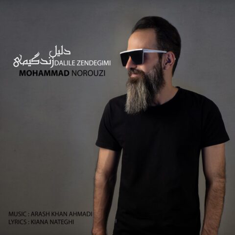 دانلود آهنگ محمد نوروزی دلیل زندگیمی